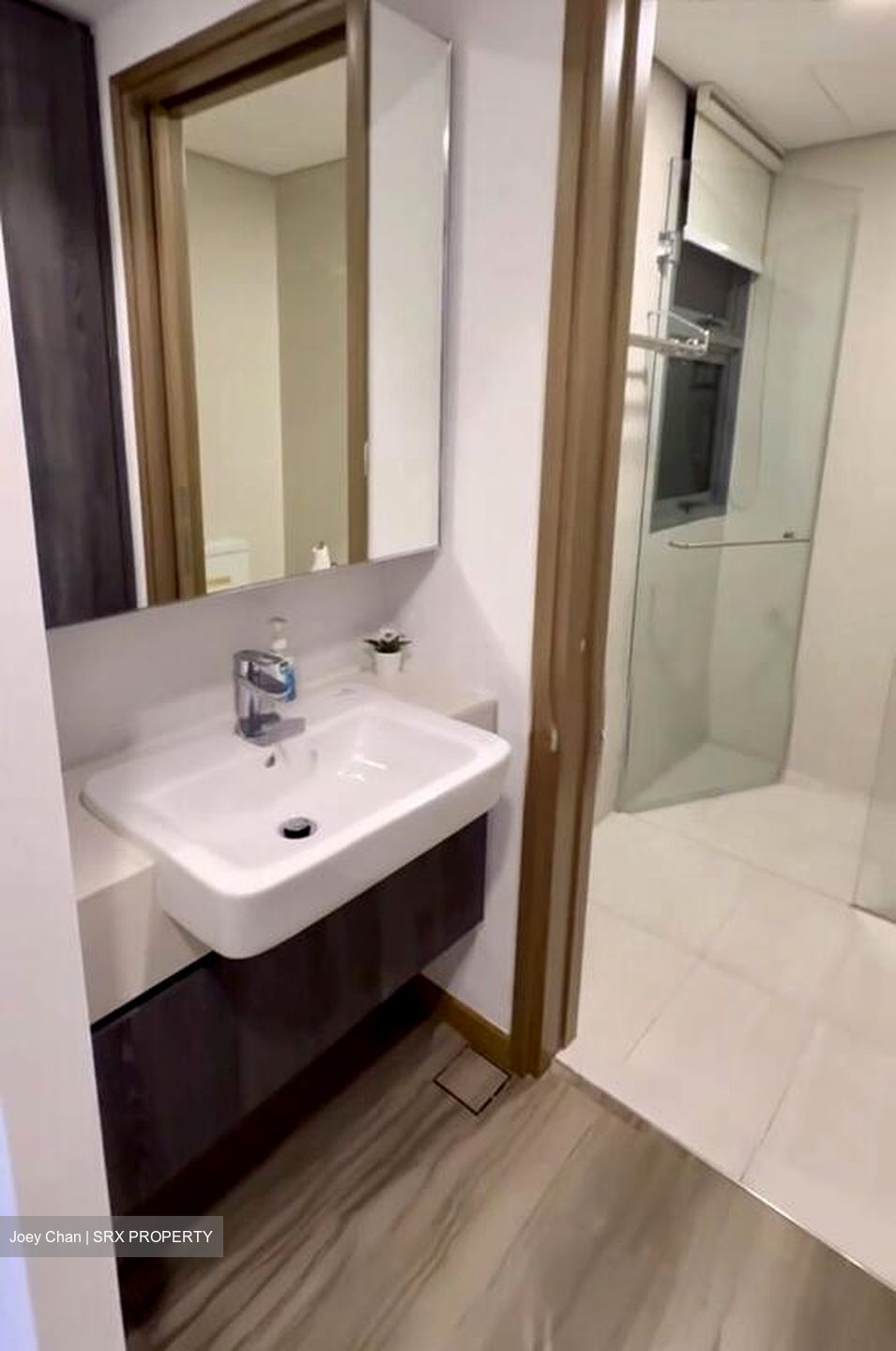 Lakeville (D22), Condominium #516999581